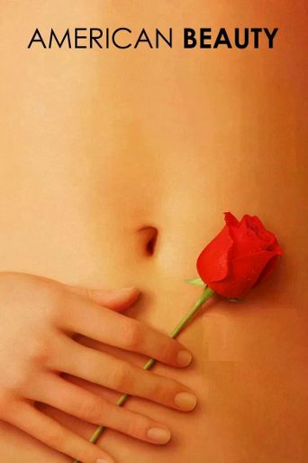 American Beauty