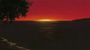 الحلقة 223