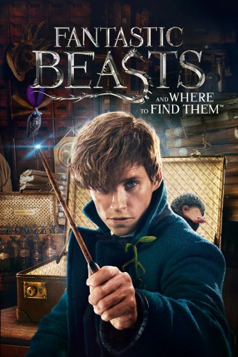Fantastic Beasts and Where to Find Them